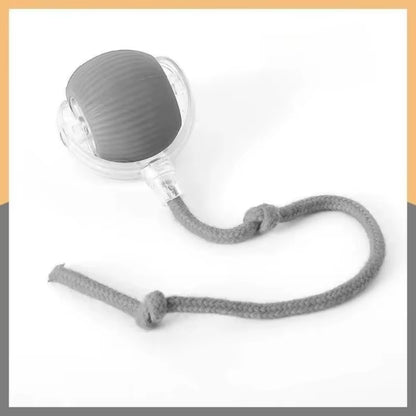 Interactive Cat Rolling Ball Toy